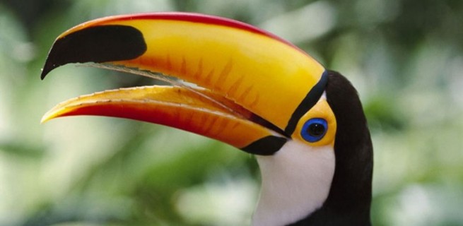 hotel das cataratas-9