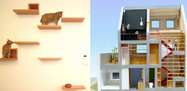 "The Cat House" um sonho de casa para os gatos