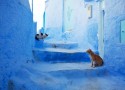 "Em Marrocos, uma das cidades mais características, Chefchaouen."
